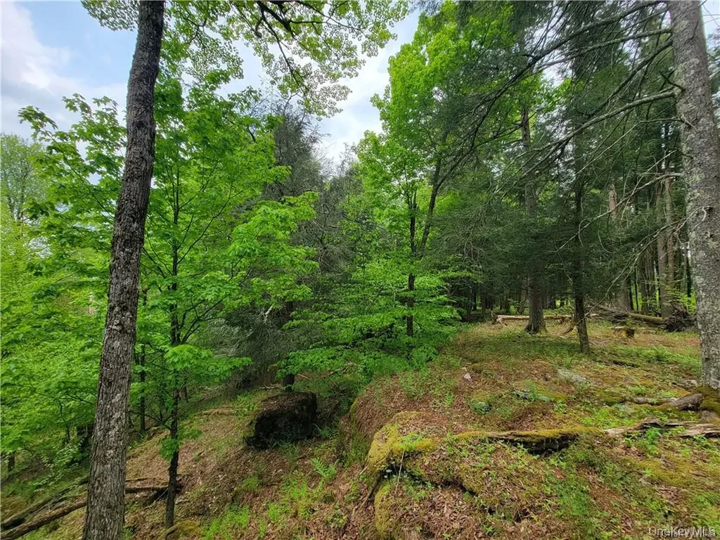 172 Eagles Ridge Way Parksville NY 12768