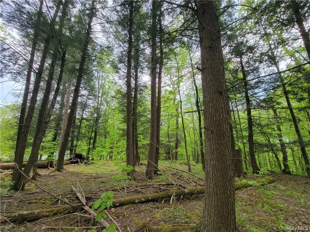 172 Eagles Ridge Way Parksville NY 12768