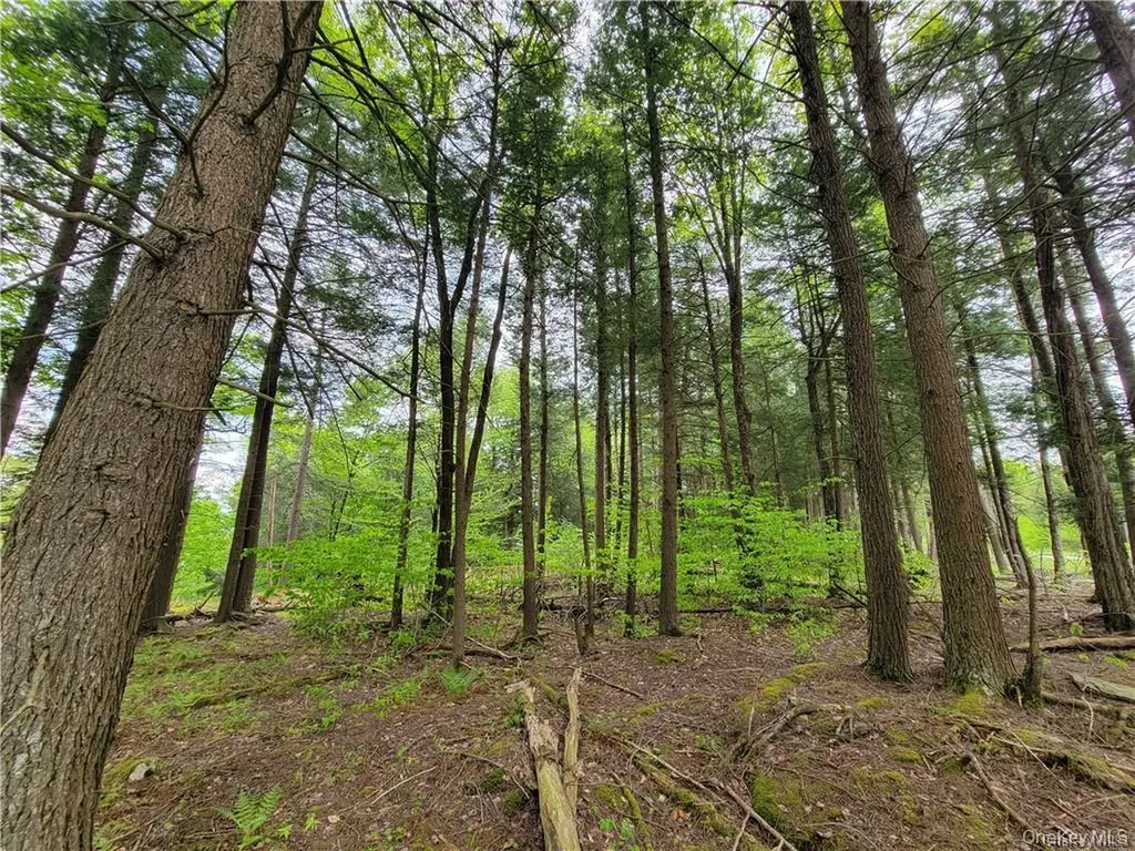 172 Eagles Ridge Way Parksville NY 12768