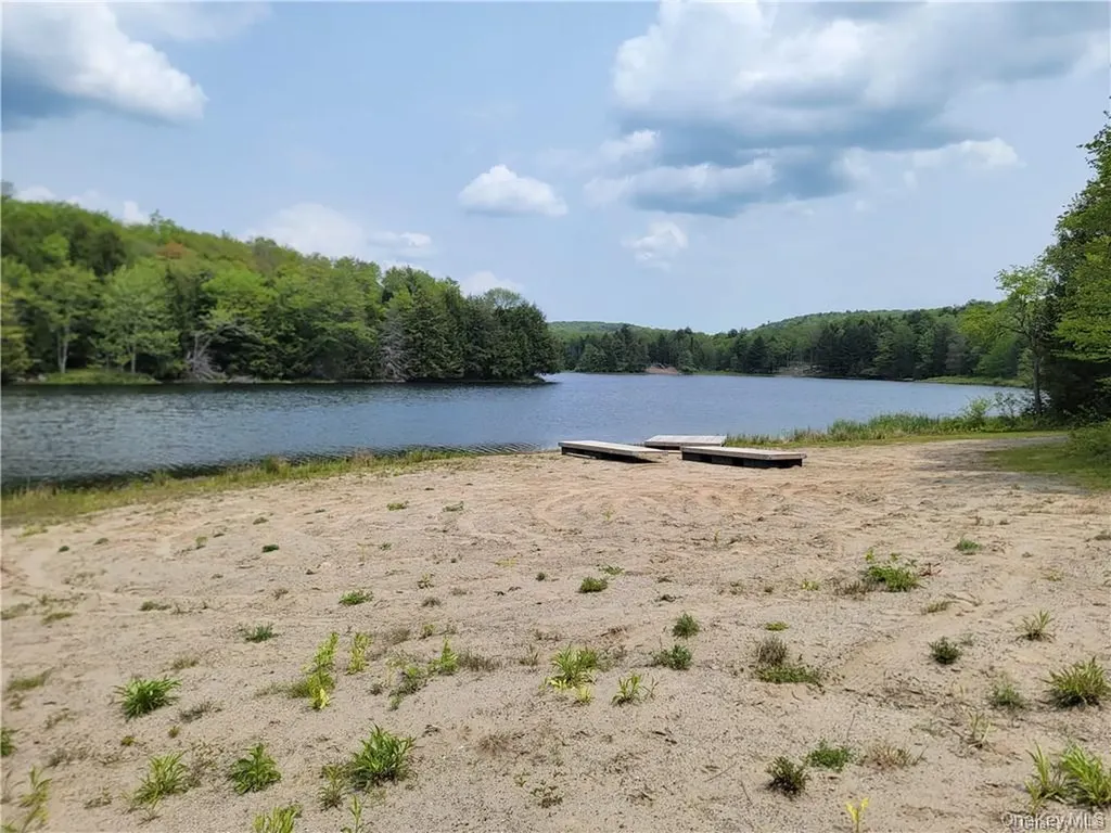 172 Eagles Ridge Way Parksville NY 12768