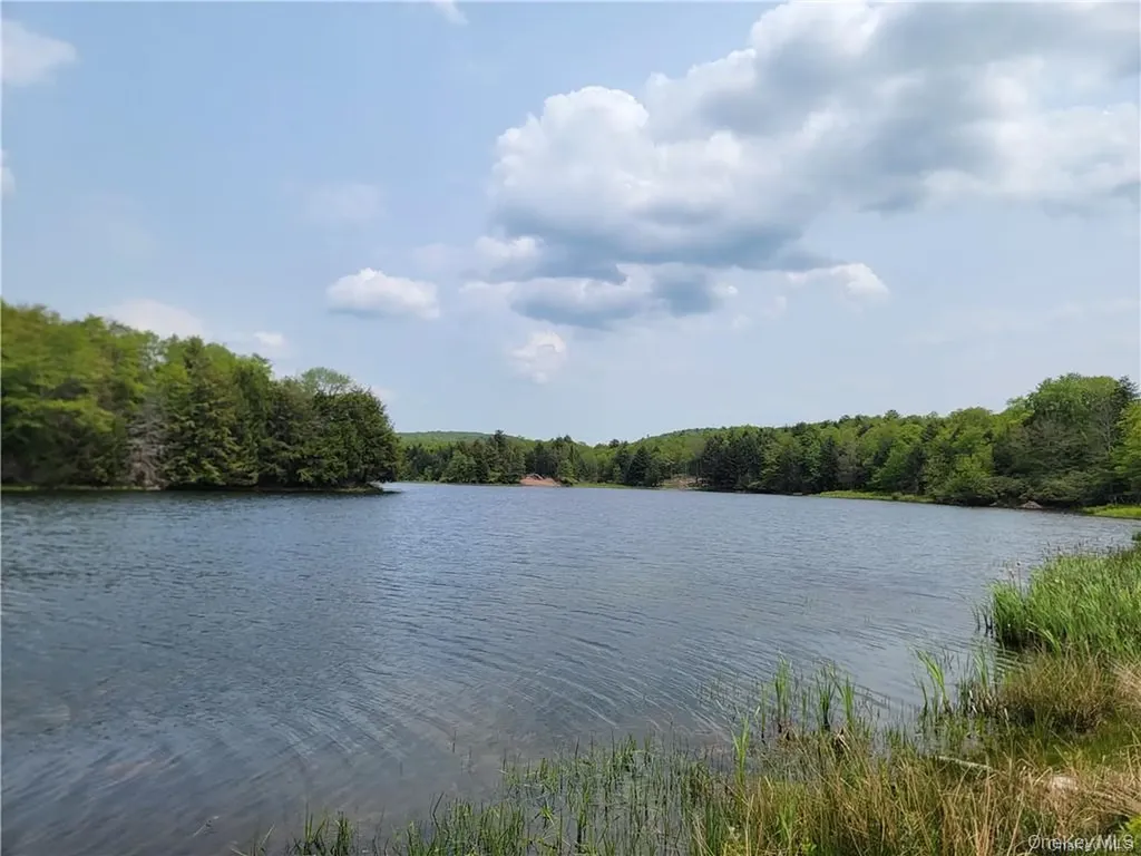 172 Eagles Ridge Way Parksville NY 12768