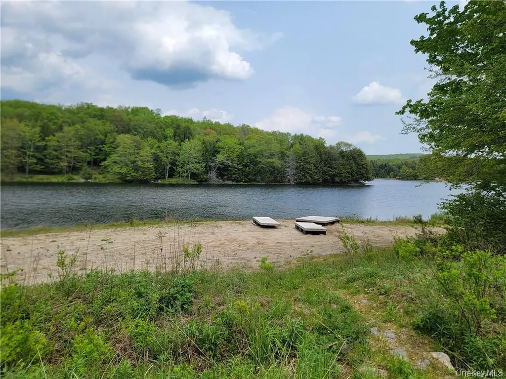 172 Eagles Ridge Way Parksville NY 12768