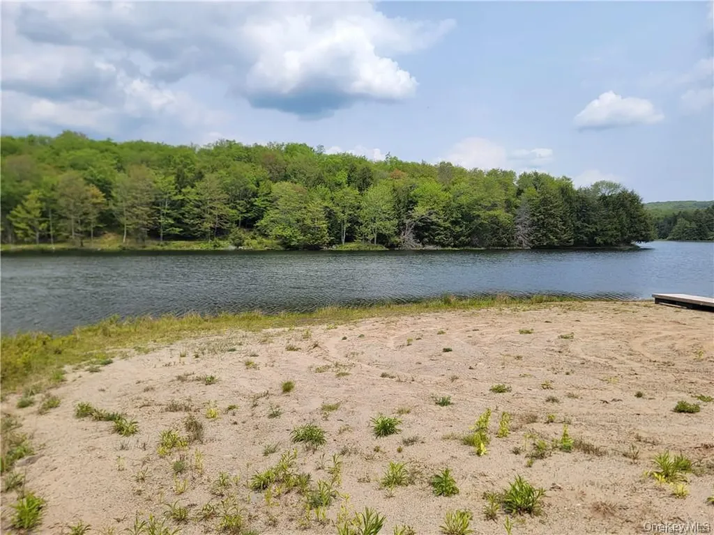 172 Eagles Ridge Way Parksville NY 12768