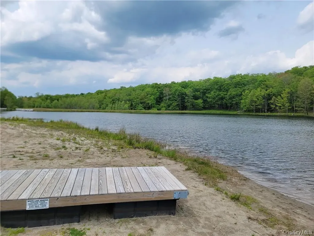 172 Eagles Ridge Way Parksville NY 12768