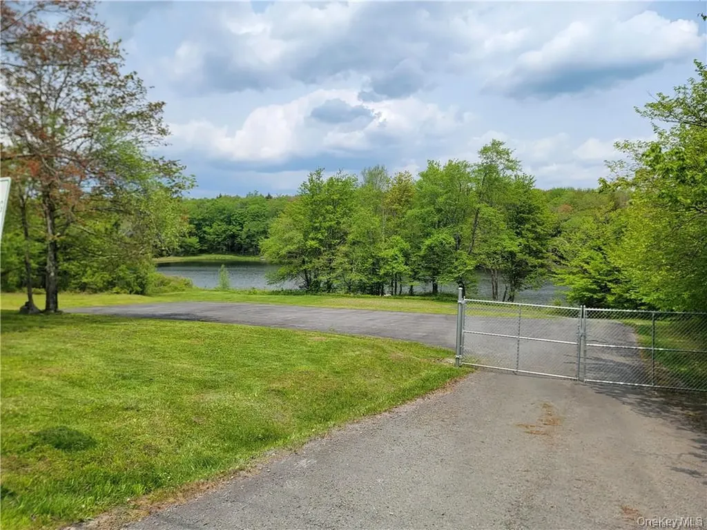 172 Eagles Ridge Way Parksville NY 12768