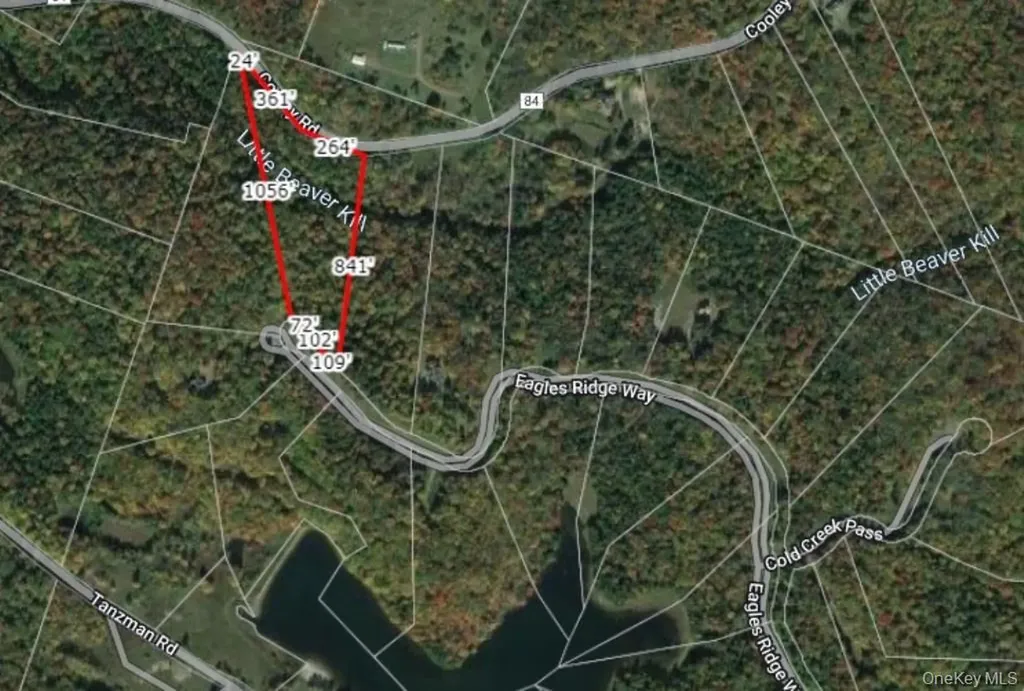 172 Eagles Ridge Way Parksville NY 12768