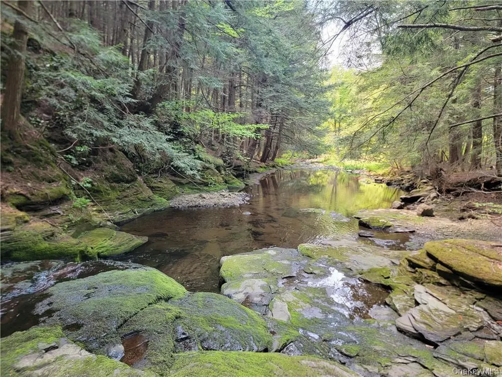 172 Eagles Ridge Way Parksville NY 12768