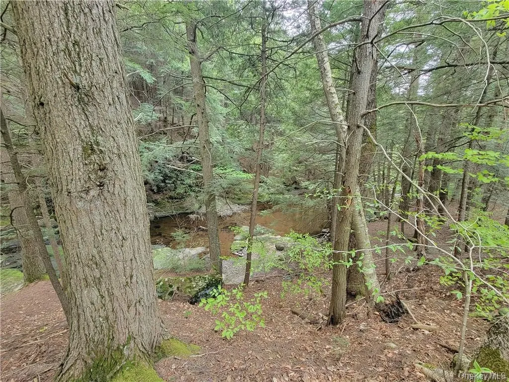 172 Eagles Ridge Way Parksville NY 12768