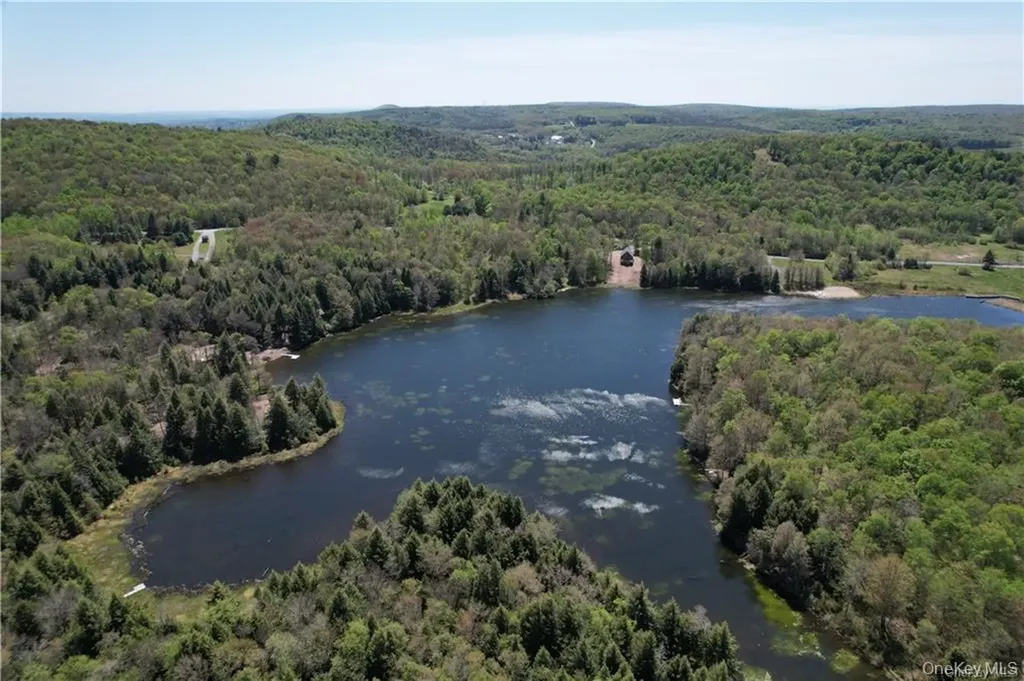 172 Eagles Ridge Way Parksville NY 12768