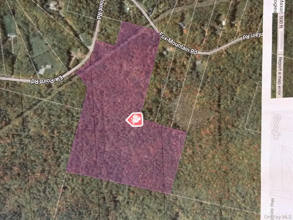 Fox Mountain Livingston Manor NY 12758
