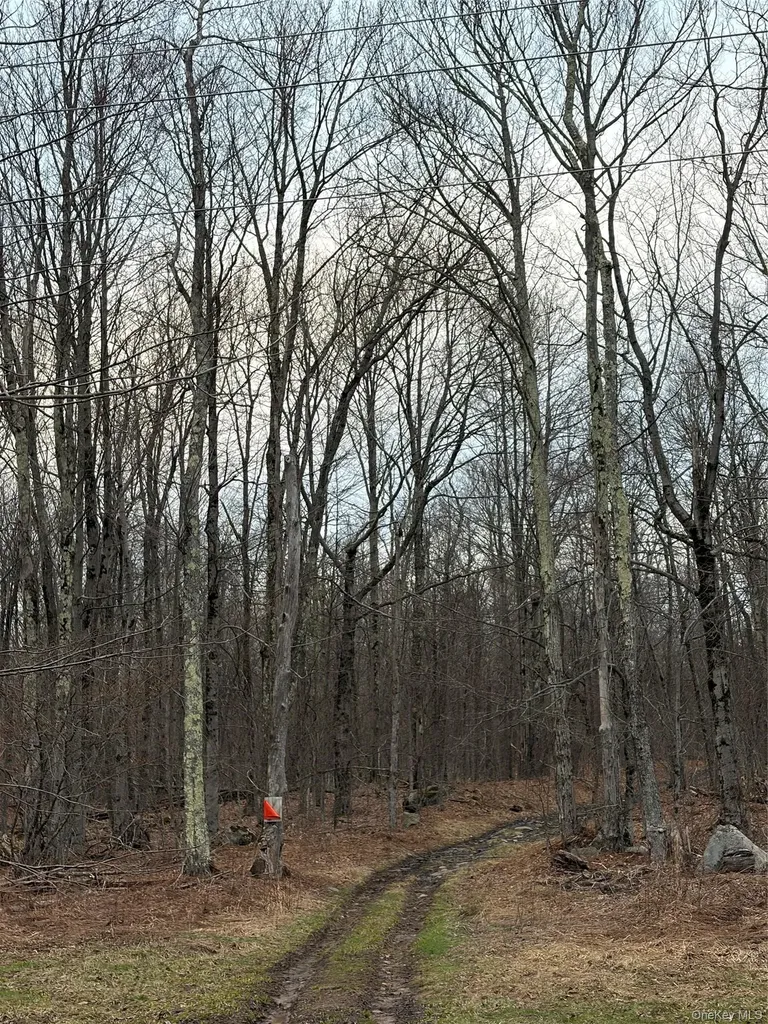 Fox Mountain Livingston Manor NY 12758