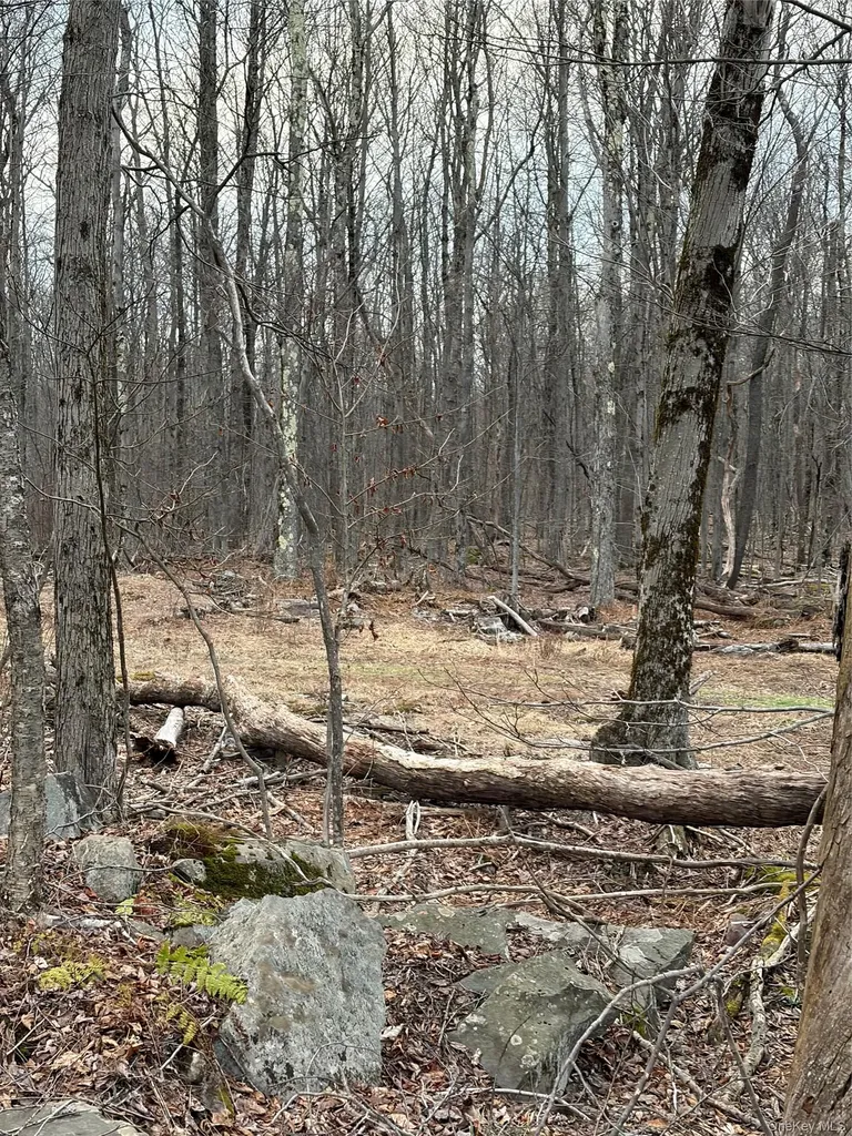 Fox Mountain Livingston Manor NY 12758