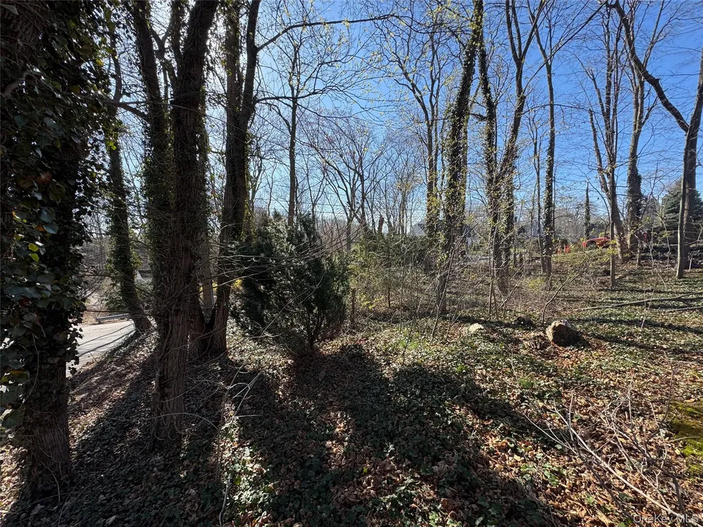 Ray Place Northport NY 11768