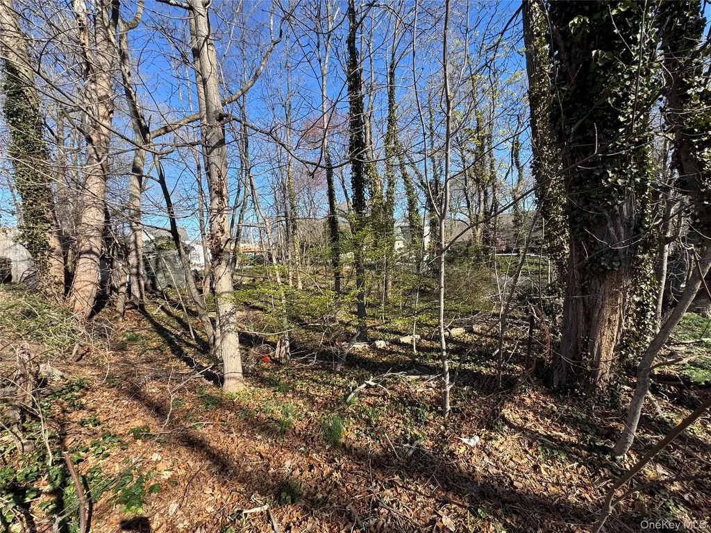 Ray Place Northport NY 11768