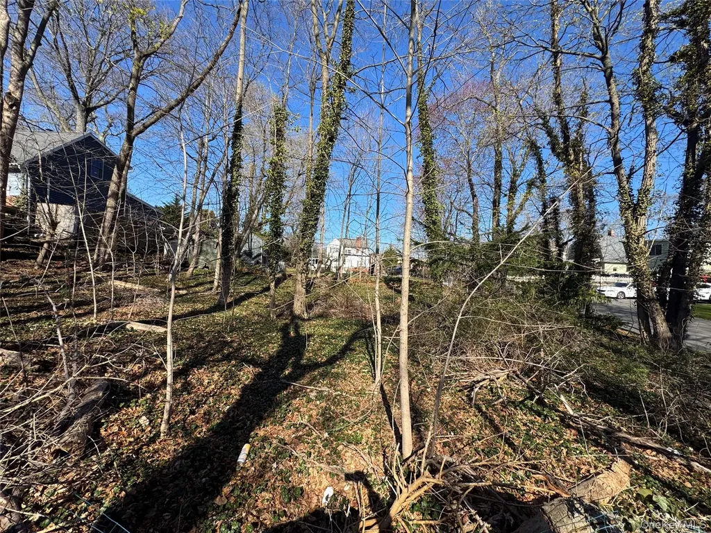 Ray Place Northport NY 11768
