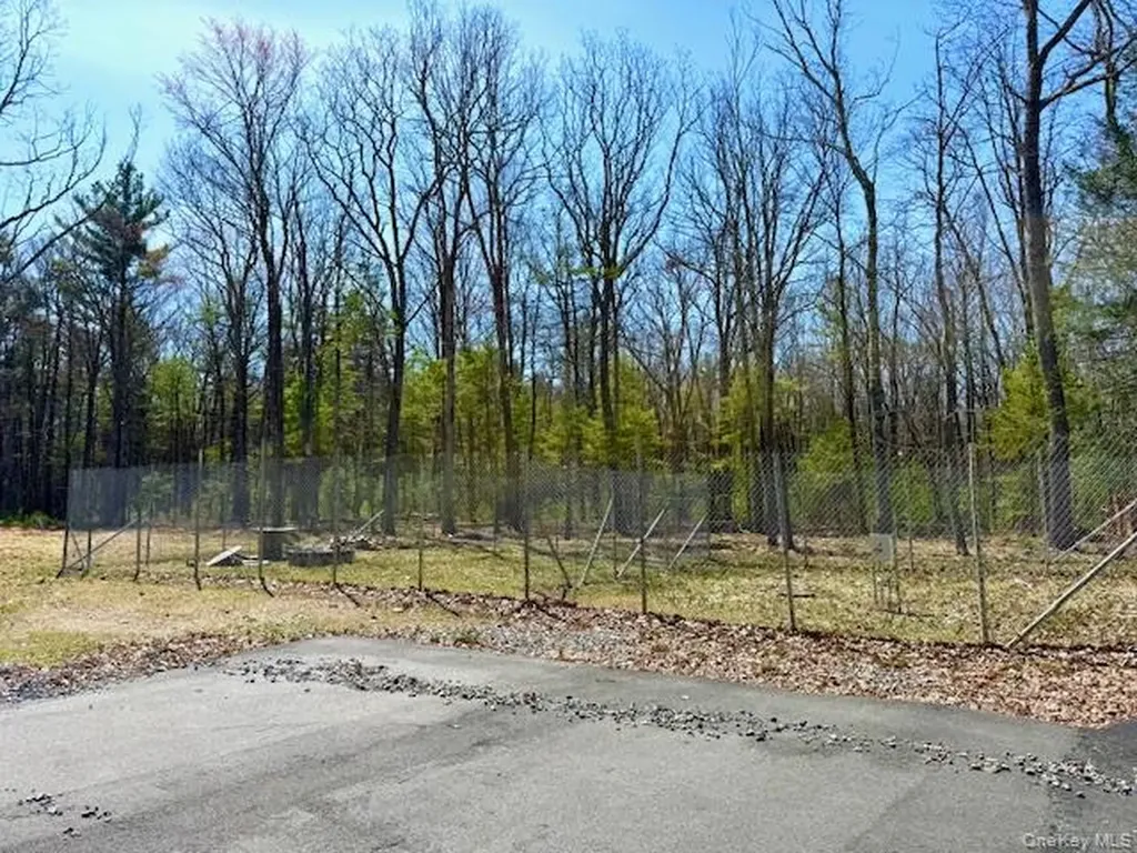 42 Devlin Road Highland Lake NY 12743