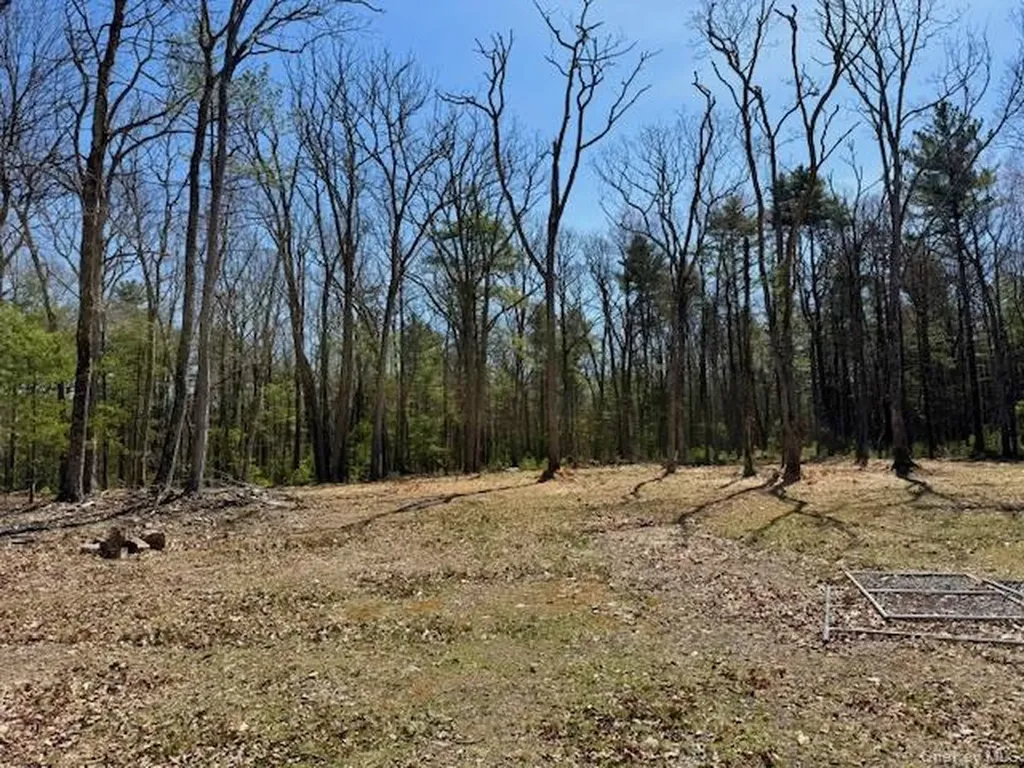 42 Devlin Road Highland Lake NY 12743