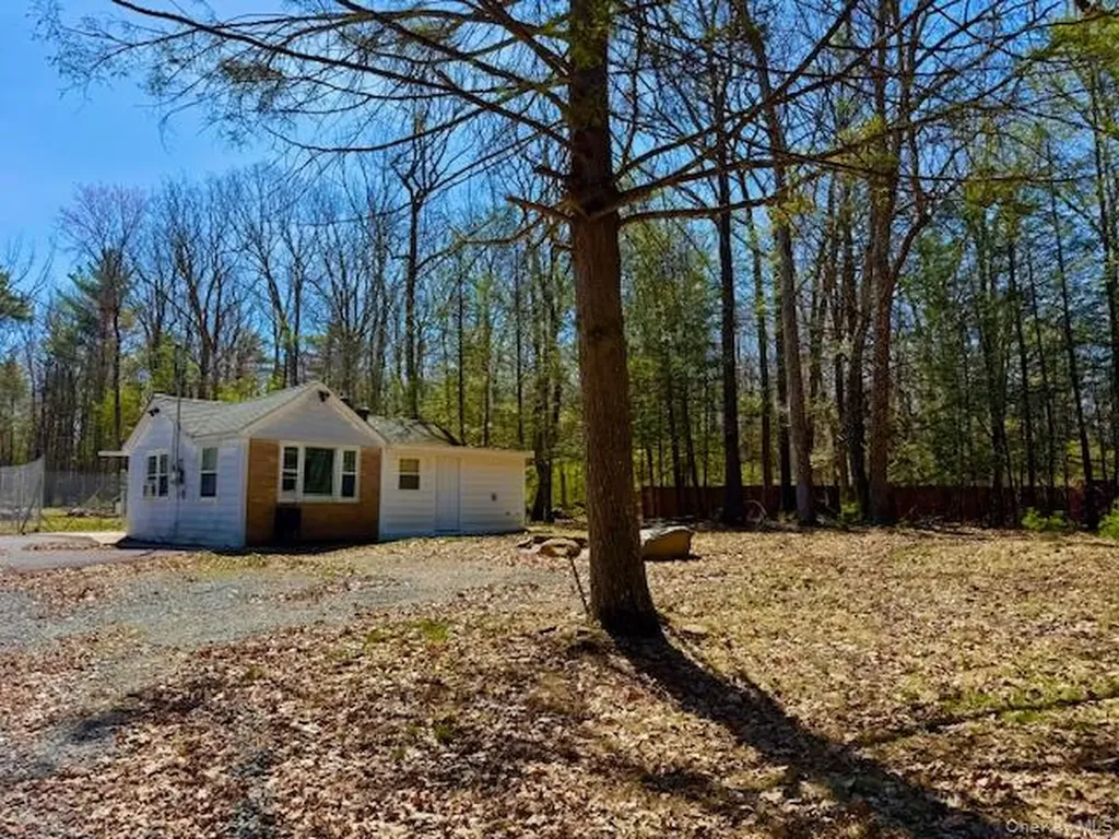 42 Devlin Road Highland Lake NY 12743