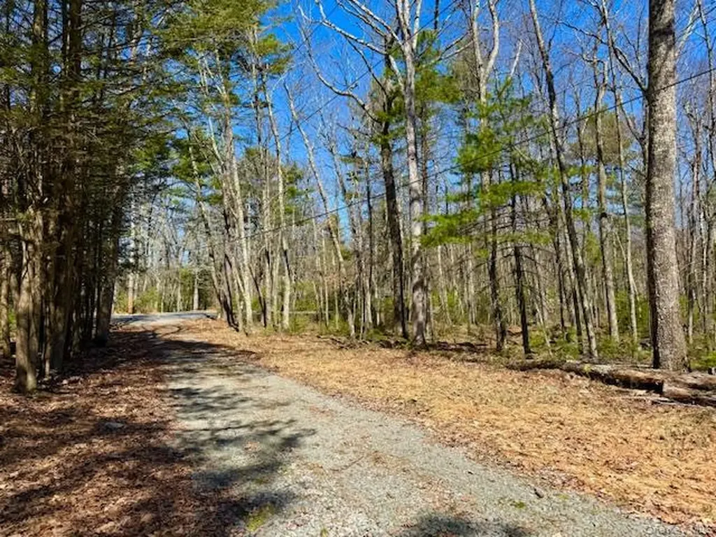 42 Devlin Road Highland Lake NY 12743