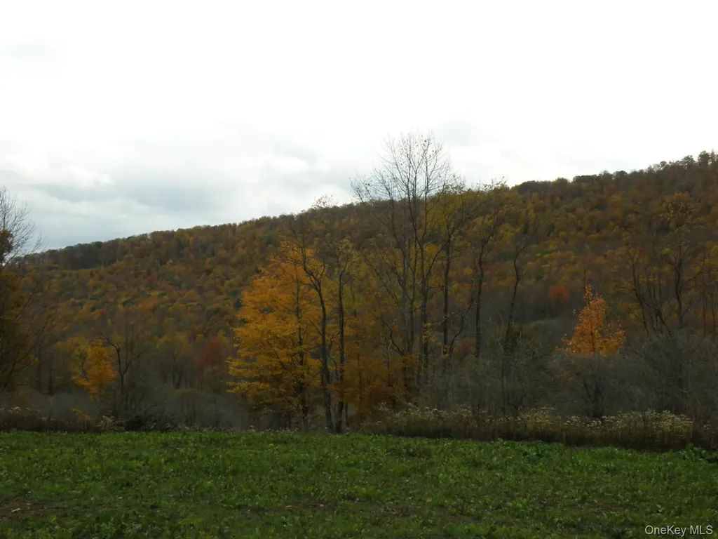 Gregory Hollow Road Hamden NY 13782