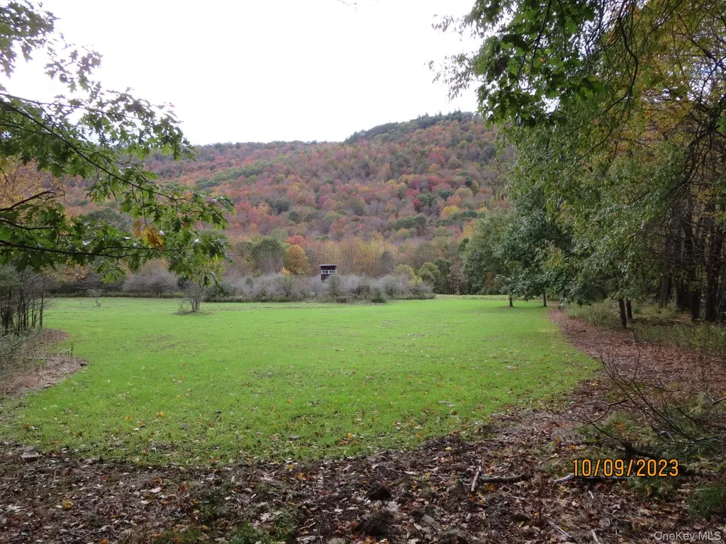 Gregory Hollow Road Hamden NY 13782
