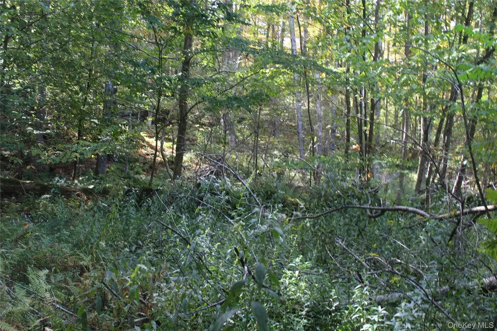 Trout Brook Road Roscoe NY 12736