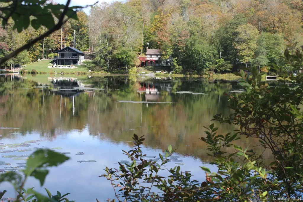 Trout Brook Road Roscoe NY 12736