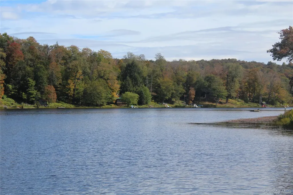 Trout Brook Road Roscoe NY 12736