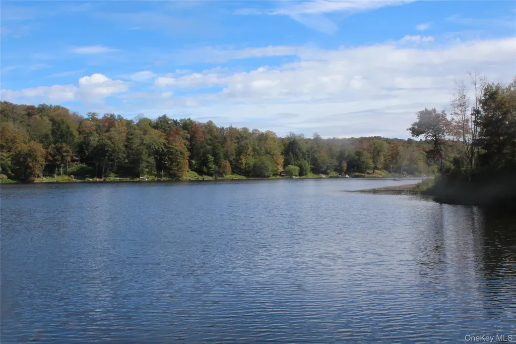 Trout Brook Road Roscoe NY 12736