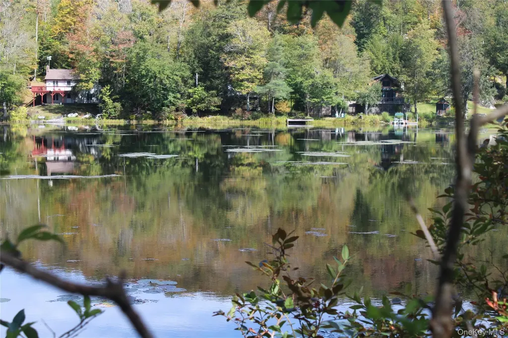 Trout Brook Road Roscoe NY 12736