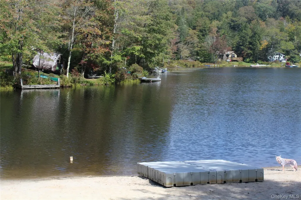 Trout Brook Road Roscoe NY 12736