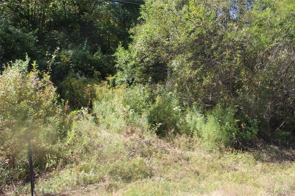 Trout Brook Road Roscoe NY 12736