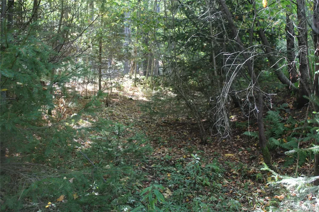 Trout Brook Road Roscoe NY 12736