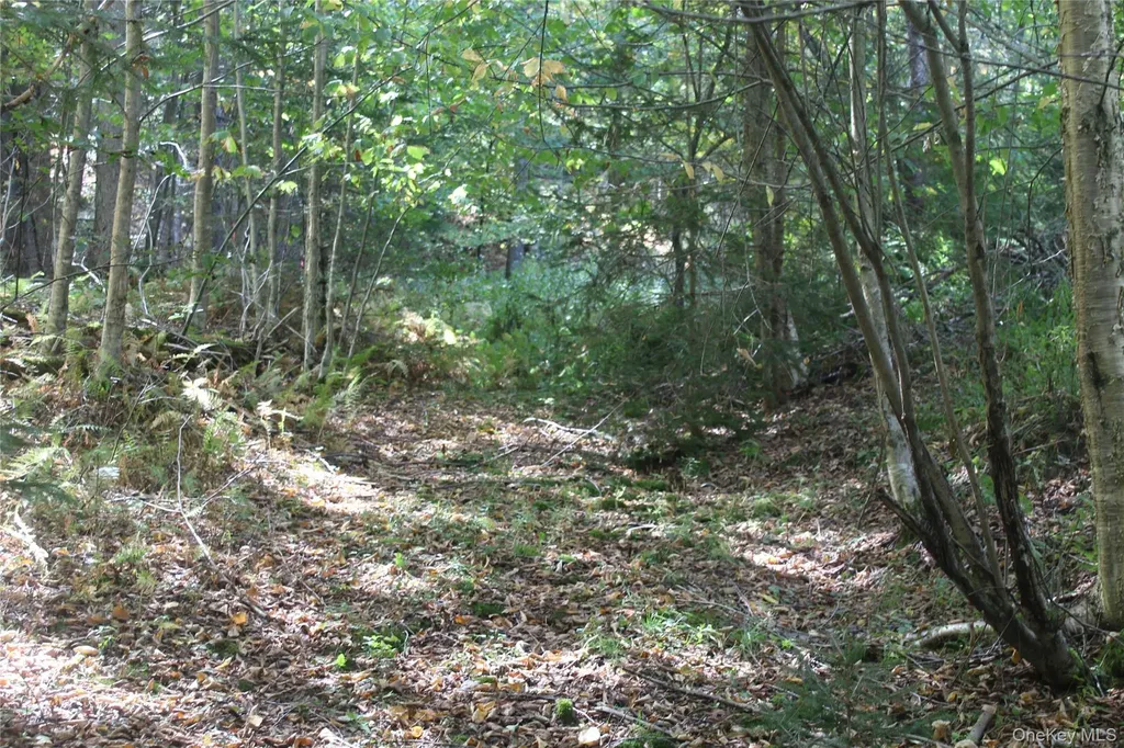 Trout Brook Road Roscoe NY 12736