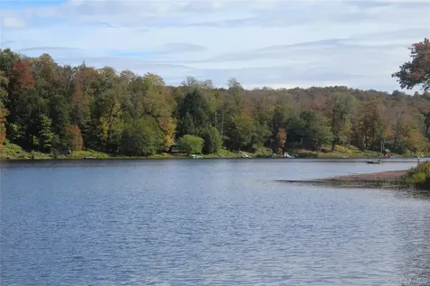 Trout Brook Road Roscoe NY 12736