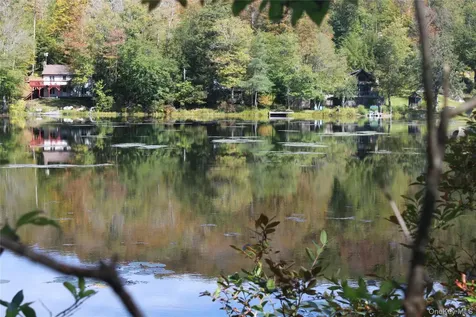 Trout Brook Road Roscoe NY 12736