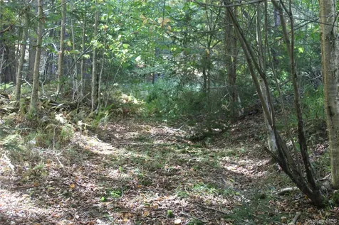Trout Brook Road Roscoe NY 12736