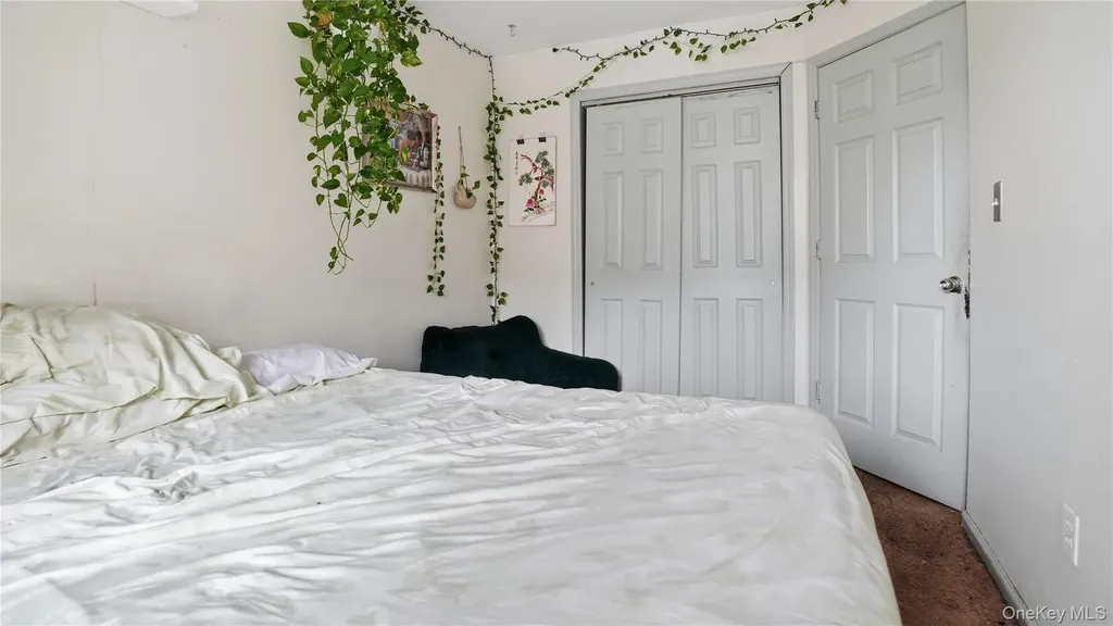 253 Cornelia Street Brooklyn NY 11221