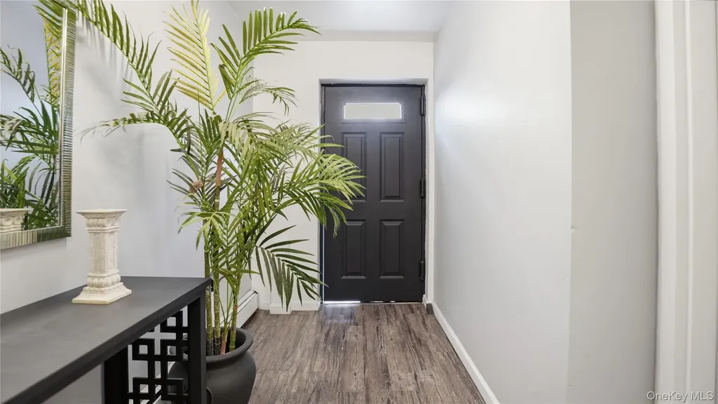 253 Cornelia Street Brooklyn NY 11221