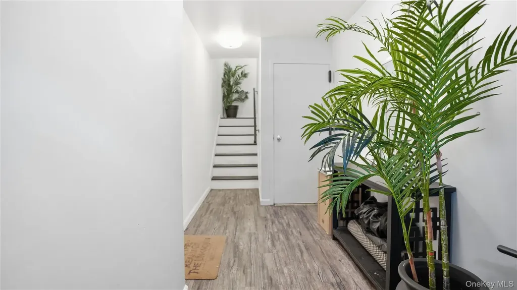253 Cornelia Street Brooklyn NY 11221