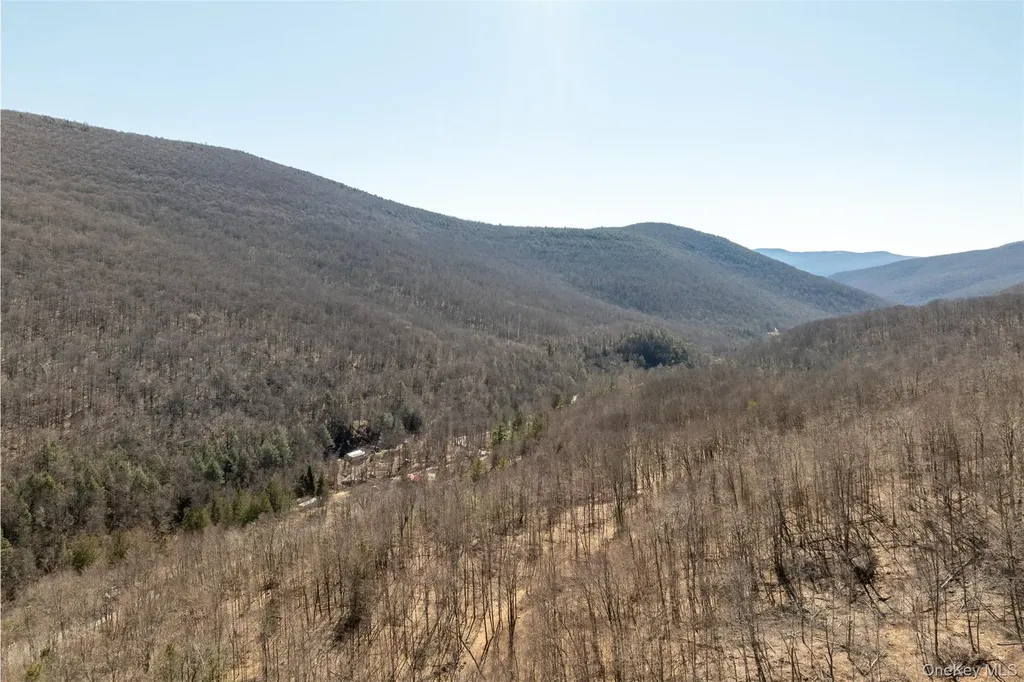 2595 Rt-214 Hunter NY 12442