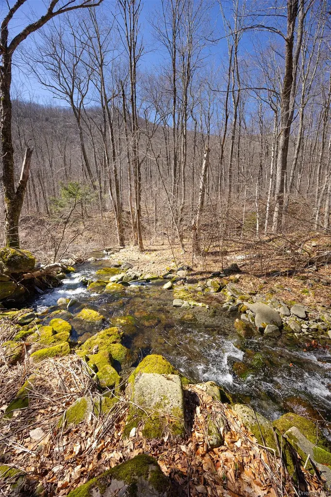 2595 Rt-214 Hunter NY 12442