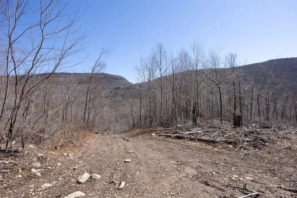 2595 Rt-214 Hunter NY 12442