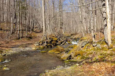 2595 Rt-214 Hunter NY 12442