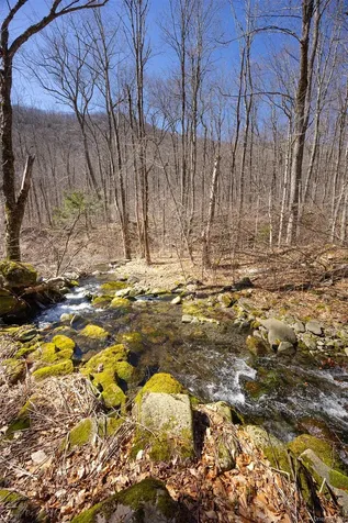 2595 Rt-214 Hunter NY 12442