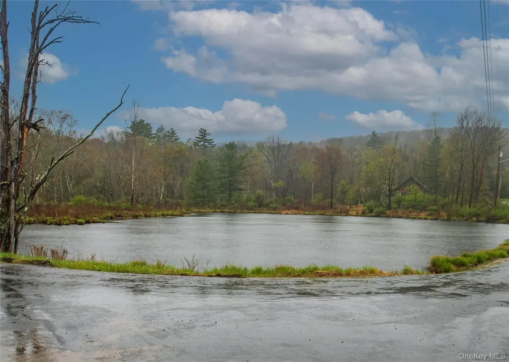 62 Thornton Road Phillipsport NY 12769