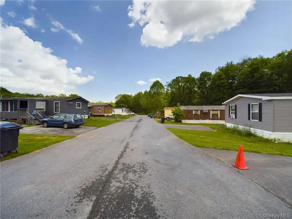 18 Shore Lane Burlingham NY 12722