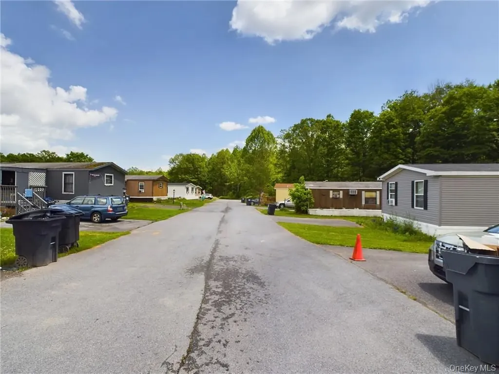 18 Shore Lane Burlingham NY 12722