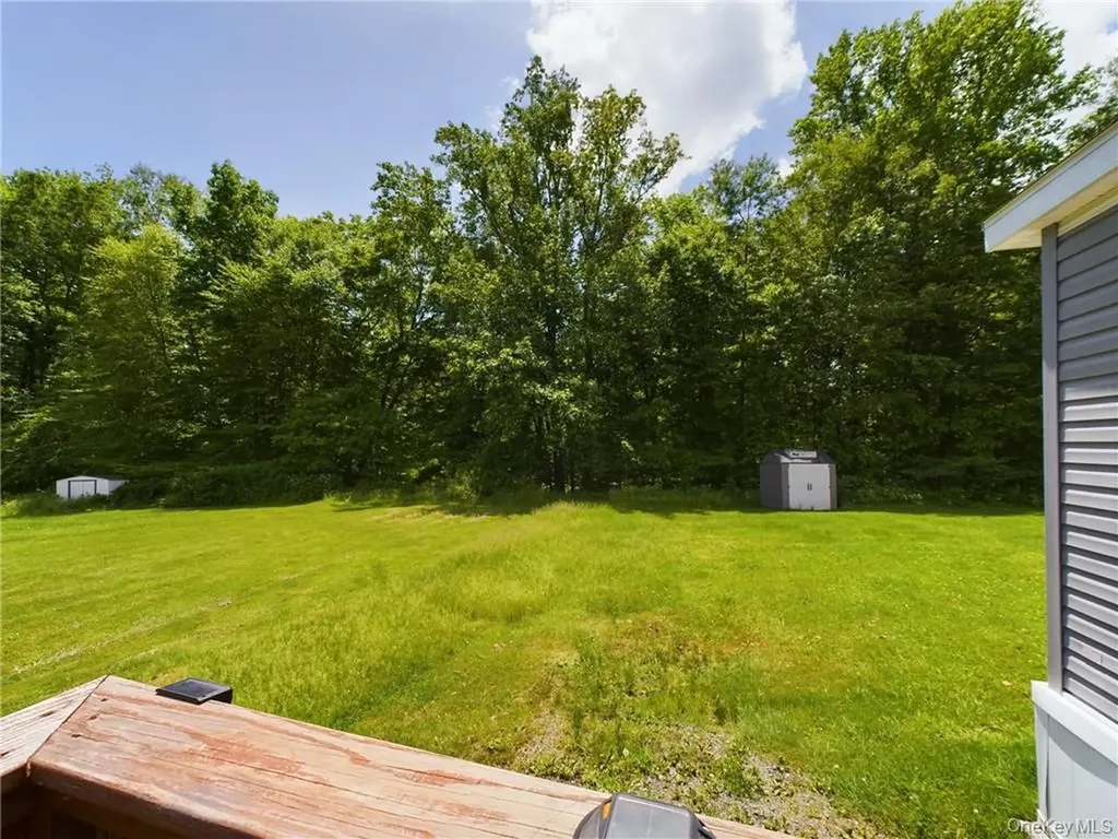 18 Shore Lane Burlingham NY 12722