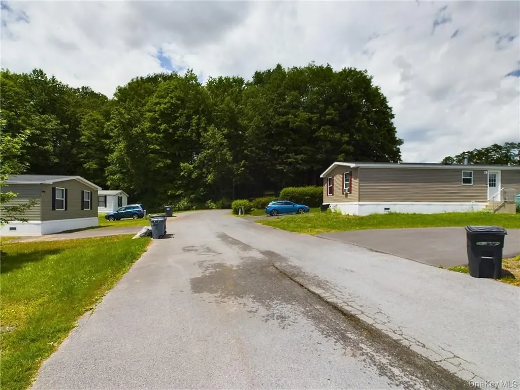 18 Shore Lane Burlingham NY 12722